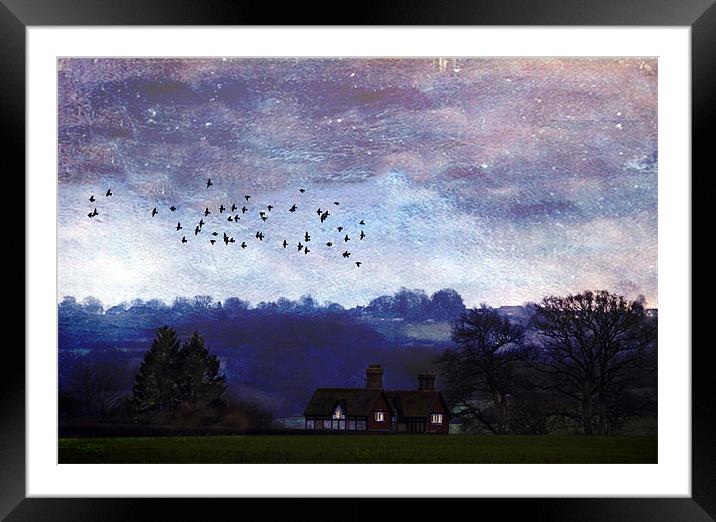 Home to Roost Framed Mounted Print by Dawn Cox