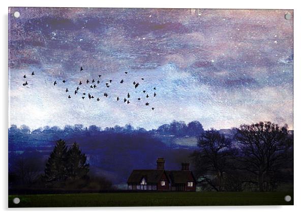 Home to Roost Acrylic by Dawn Cox