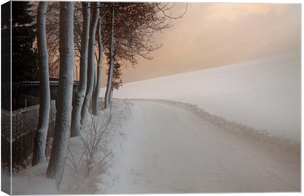 Dusk at the Edge of the Winter Forest Canvas Print by Dorit Fuhg