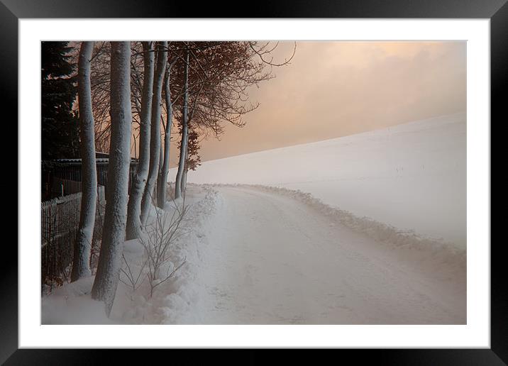 Dusk at the Edge of the Winter Forest Framed Mounted Print by Dorit Fuhg