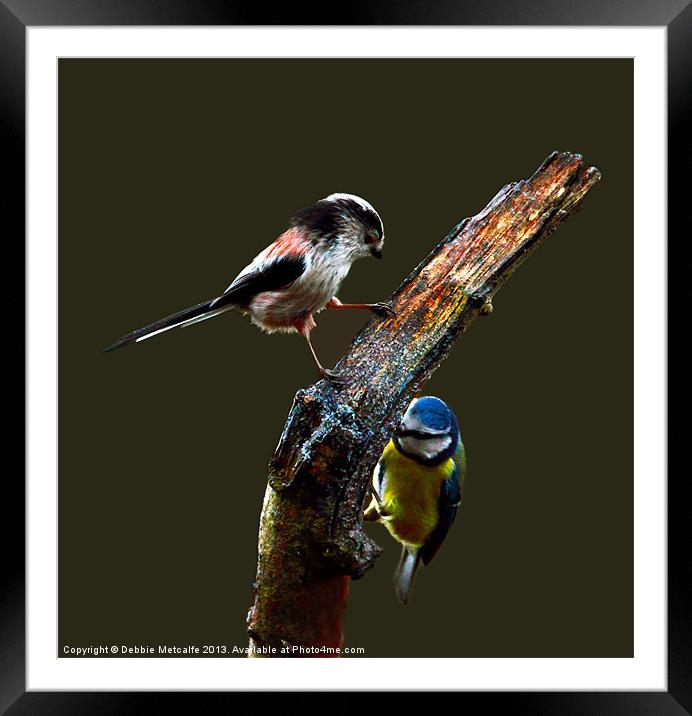 I can see you Framed Mounted Print by Debbie Metcalfe