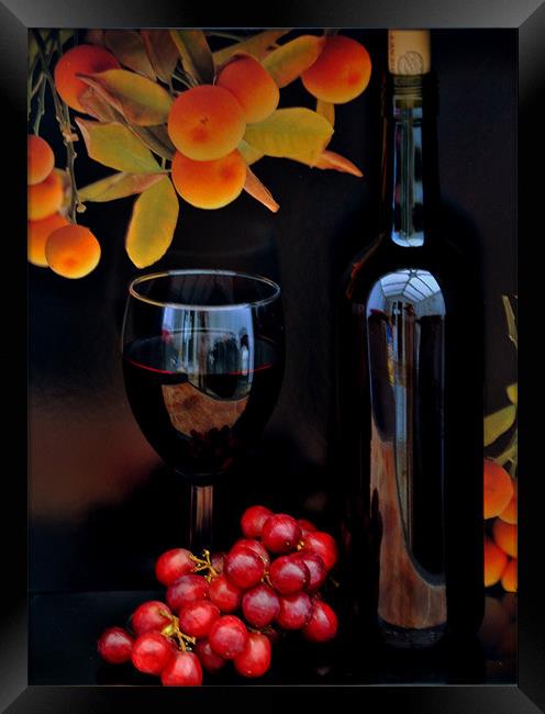 vino Framed Print by sue davies