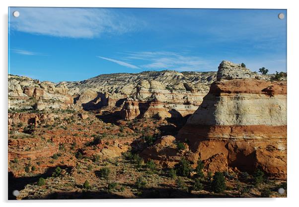 Canyon scenery near Boulder, Utah Acrylic by Claudio Del Luongo