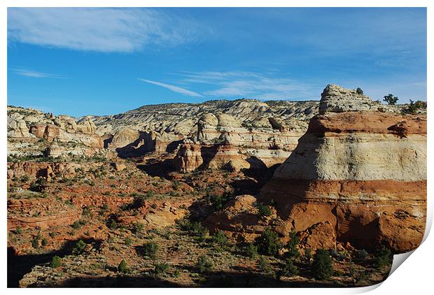 Canyon scenery near Boulder, Utah Print by Claudio Del Luongo