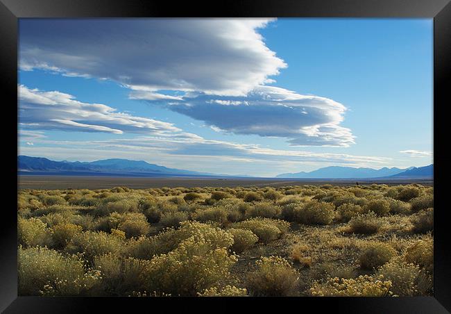 High desert impression, Nevada Framed Print by Claudio Del Luongo