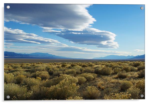 High desert impression, Nevada Acrylic by Claudio Del Luongo