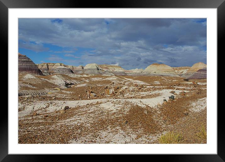 Petrified Forest National Park, Arizona Framed Mounted Print by Claudio Del Luongo