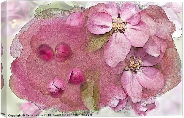 Essence of Spring Canvas Print by Betty LaRue