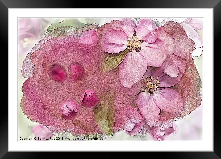 Essence of Spring Framed Mounted Print by Betty LaRue