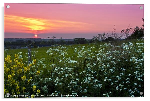 Summer field Acrylic by Graham Custance