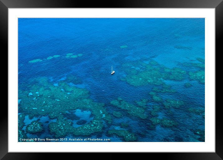 The Great Barrier Reef Framed Mounted Print by Barry Newman