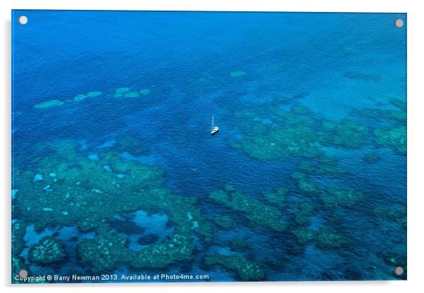 The Great Barrier Reef Acrylic by Barry Newman