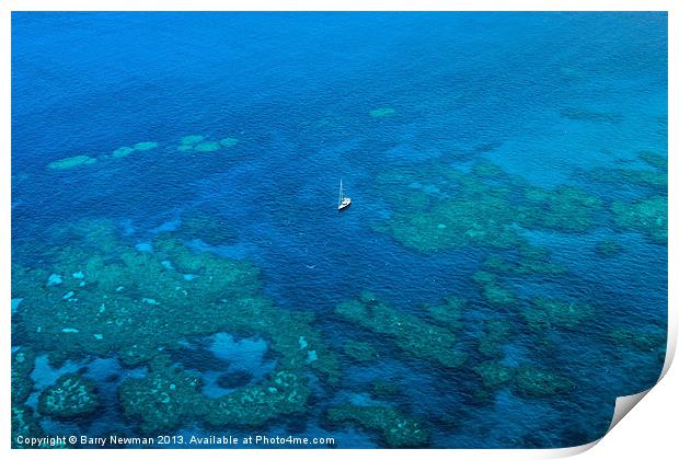 The Great Barrier Reef Print by Barry Newman