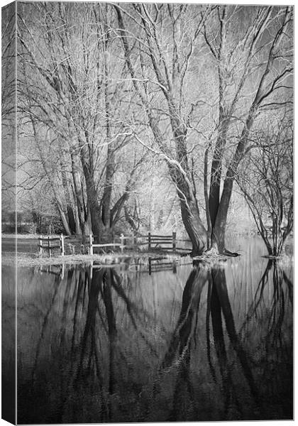 Bare Trees Reflected In Flood Water Canvas Print by Andy Stafford