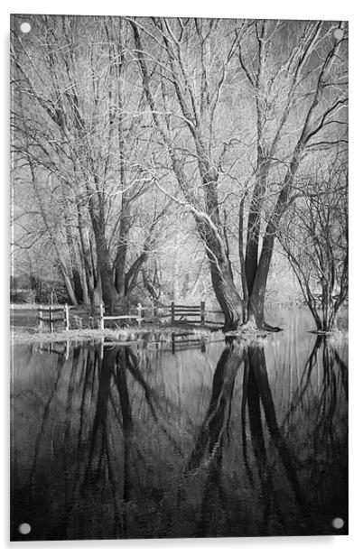 Bare Trees Reflected In Flood Water Acrylic by Andy Stafford