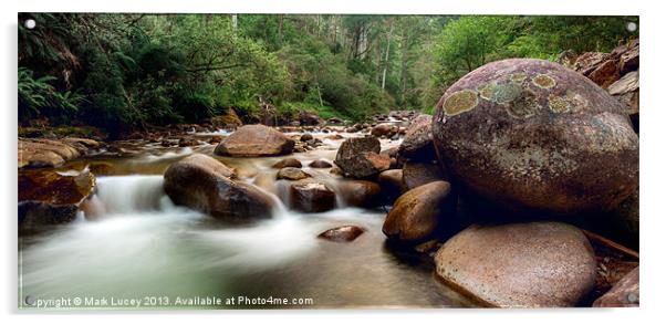 Bogong Dream Acrylic by Mark Lucey