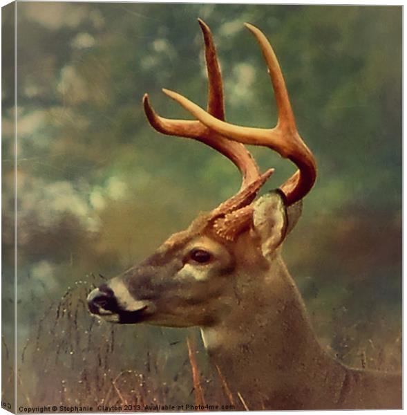 Oh Deer Canvas Print by Stephanie Clayton