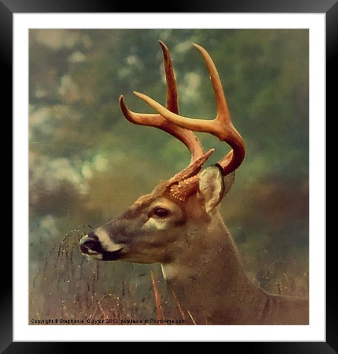 Oh Deer Framed Mounted Print by Stephanie Clayton