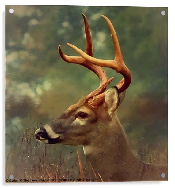 Oh Deer Acrylic by Stephanie Clayton