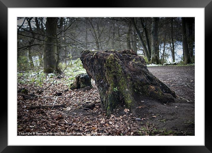 Stumped Framed Mounted Print by George Davidson