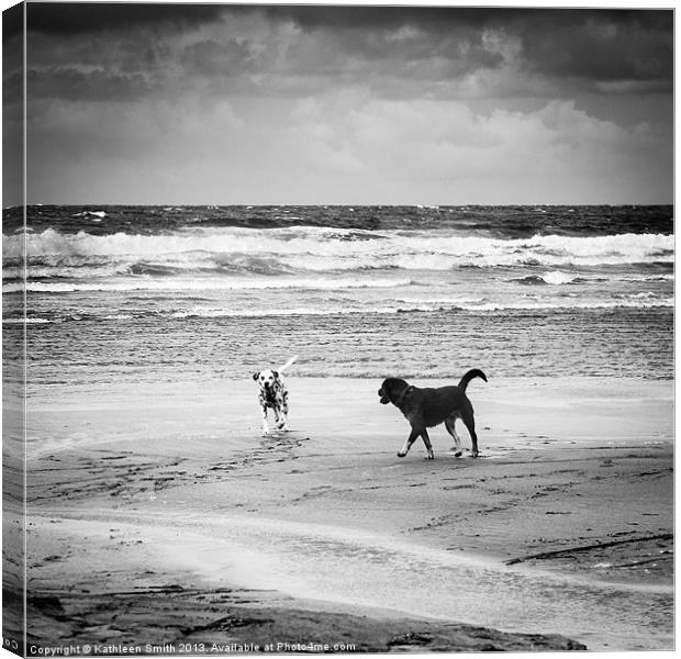 Dogs playing on the beach Canvas Print by Kathleen Smith (kbhsphoto)