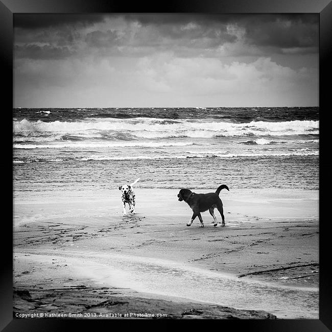 Dogs playing on the beach Framed Print by Kathleen Smith (kbhsphoto)