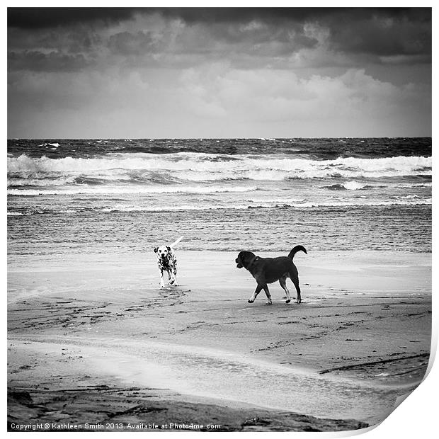 Dogs playing on the beach Print by Kathleen Smith (kbhsphoto)