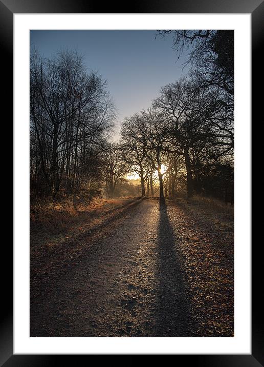 Cycle Path Sunrise Framed Mounted Print by David Tinsley