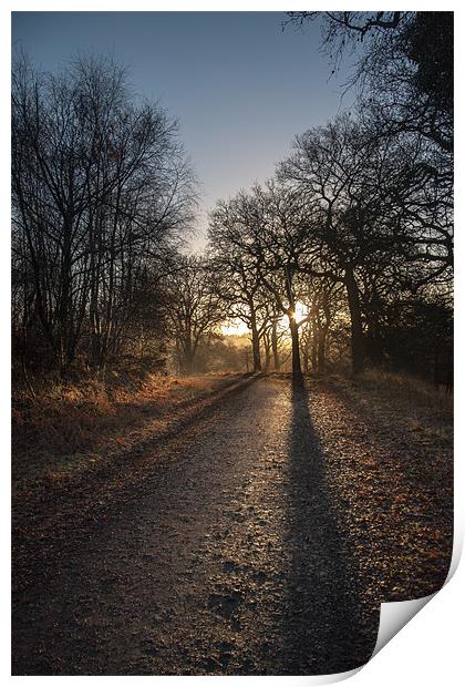 Cycle Path Sunrise Print by David Tinsley