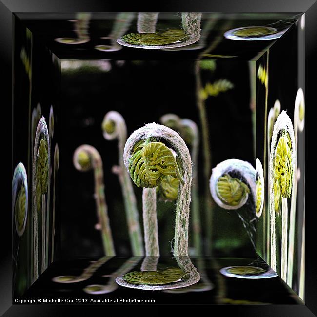 Unfurling Ferns Reflections Framed Print by Michelle Orai