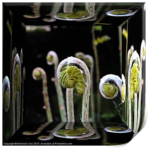 Unfurling Ferns Reflections Print by Michelle Orai