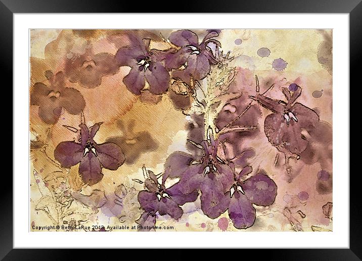 Purple Profusion Framed Mounted Print by Betty LaRue