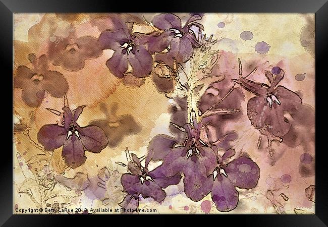 Purple Profusion Framed Print by Betty LaRue