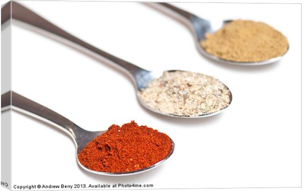 Spices on Spoons Canvas Print by Andrew Berry