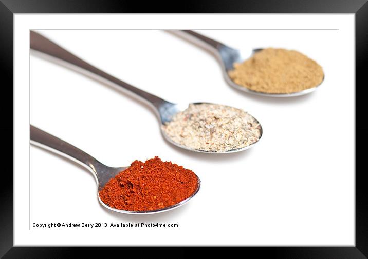Spices on Spoons Framed Mounted Print by Andrew Berry