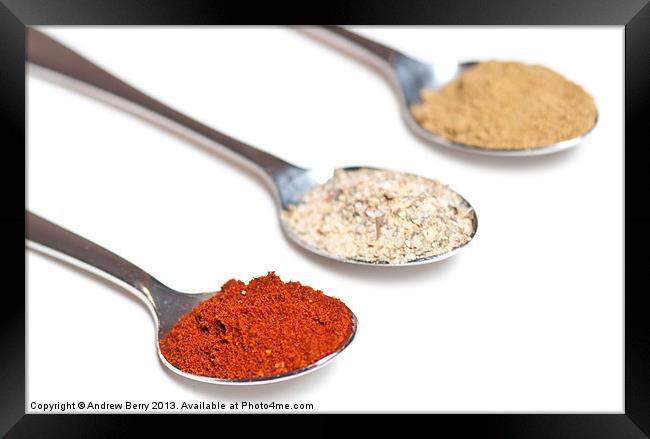 Spices on Spoons Framed Print by Andrew Berry