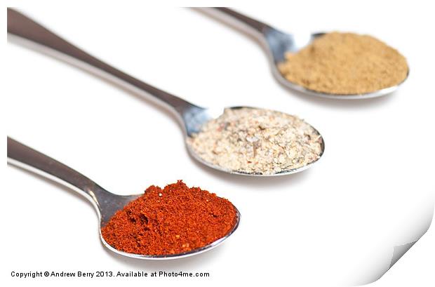Spices on Spoons Print by Andrew Berry