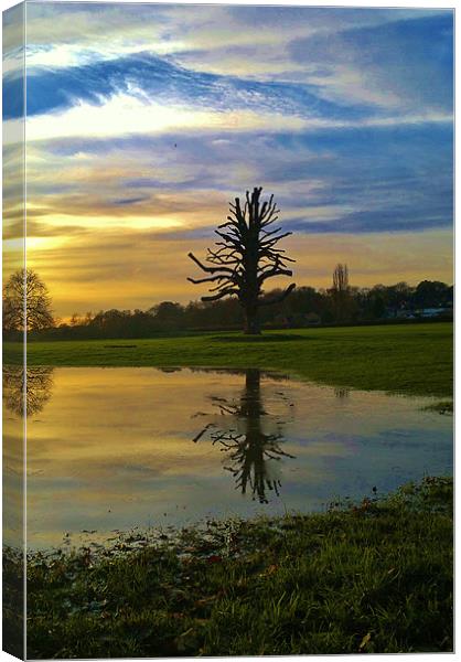 reflection at sunset Canvas Print by mark graham