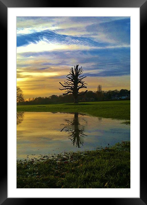 reflection at sunset Framed Mounted Print by mark graham