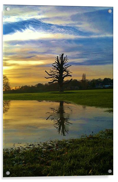 reflection at sunset Acrylic by mark graham