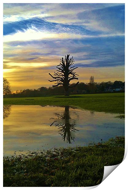 reflection at sunset Print by mark graham