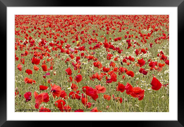 Sea of red Poppies Framed Mounted Print by Steve Hughes