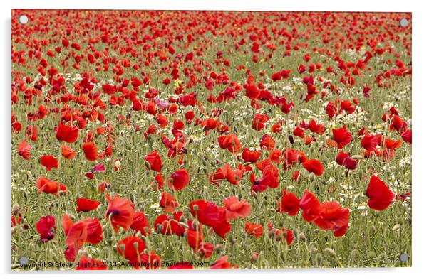 Sea of red Poppies Acrylic by Steve Hughes