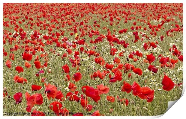 Sea of red Poppies Print by Steve Hughes