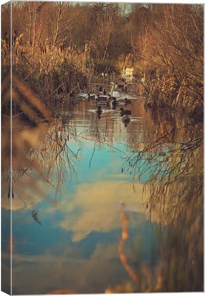 River to the sky Canvas Print by Castleton Photographic