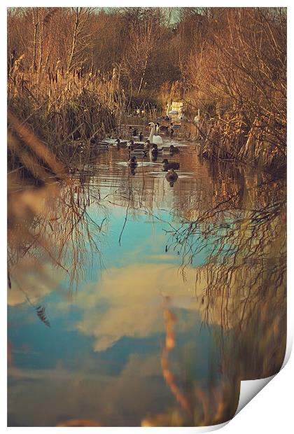 River to the sky Print by Castleton Photographic