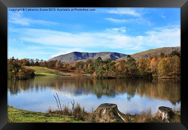 Tarn Hows Framed Print by Catherine Fowler