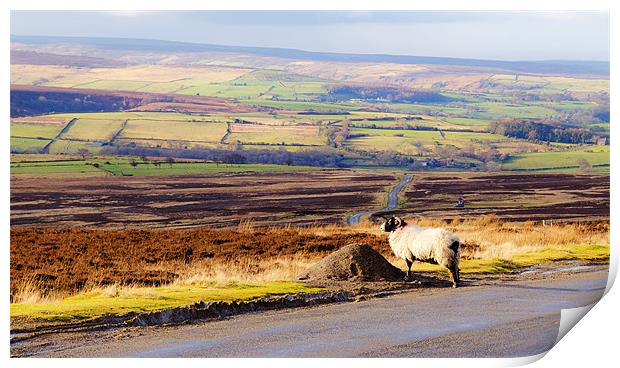 On the Moors Print by Jonathan Parkes