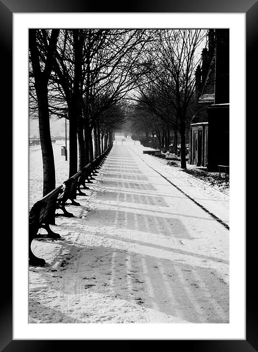 Berlin benches  Framed Mounted Print by Ranald Dods