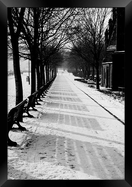 Berlin benches  Framed Print by Ranald Dods